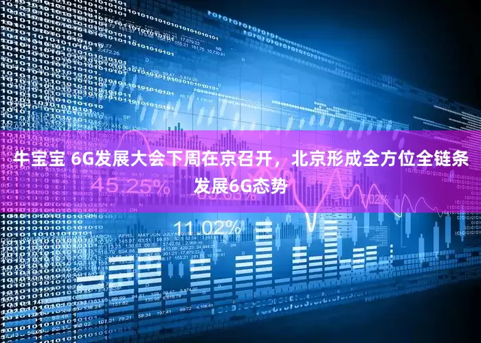 牛宝宝 6G发展大会下周在京召开，北京形成全方位全链条发展6G态势