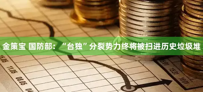 金策宝 国防部：“台独”分裂势力终将被扫进历史垃圾堆